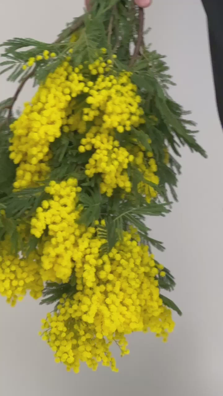 Une vidéo d'un homme qui porte un chèche jaune de Monsieur Charli